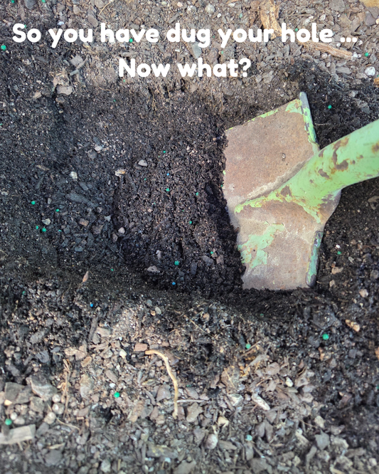 Root amendments, what are they and how do they work?