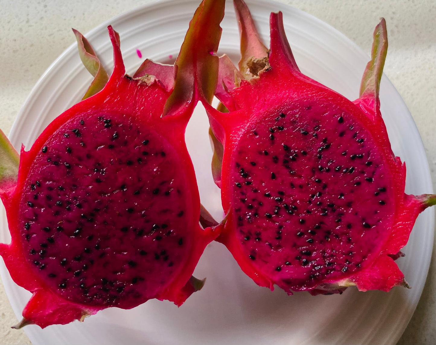 Halved dragon fruit on a white plate, harvested from a tropical fruit nursery in Auckland, New Zealand.