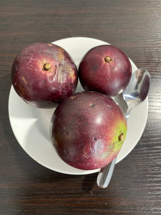Purple star apple (Chrysophyllum cainito) harvested for propagation at New Zealand tropical fruit nursery.
