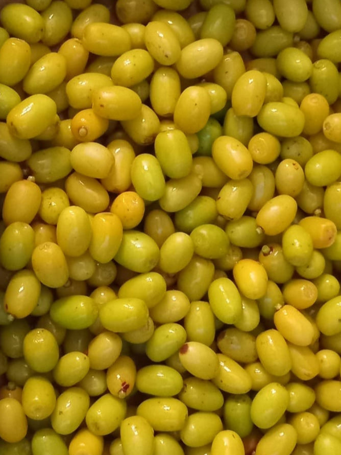 Example of fruit from a Neem plant, for sale in a New Zealand tropical fruit nursery.