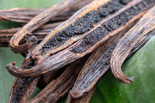 Close-up of dried vanilla beans with a green background