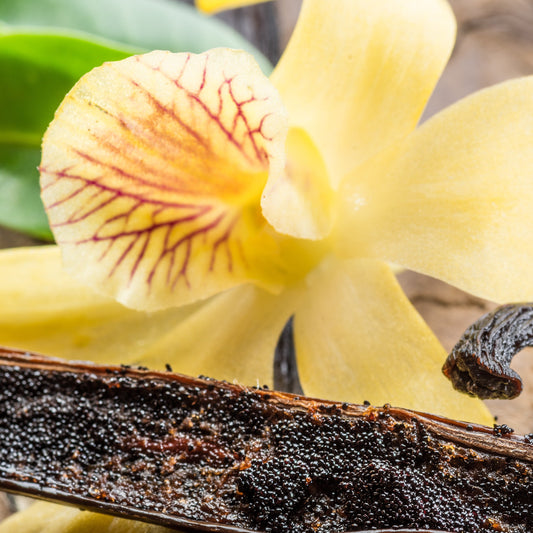 Vanilla pod with a yellow orchid flower on a wooden surface